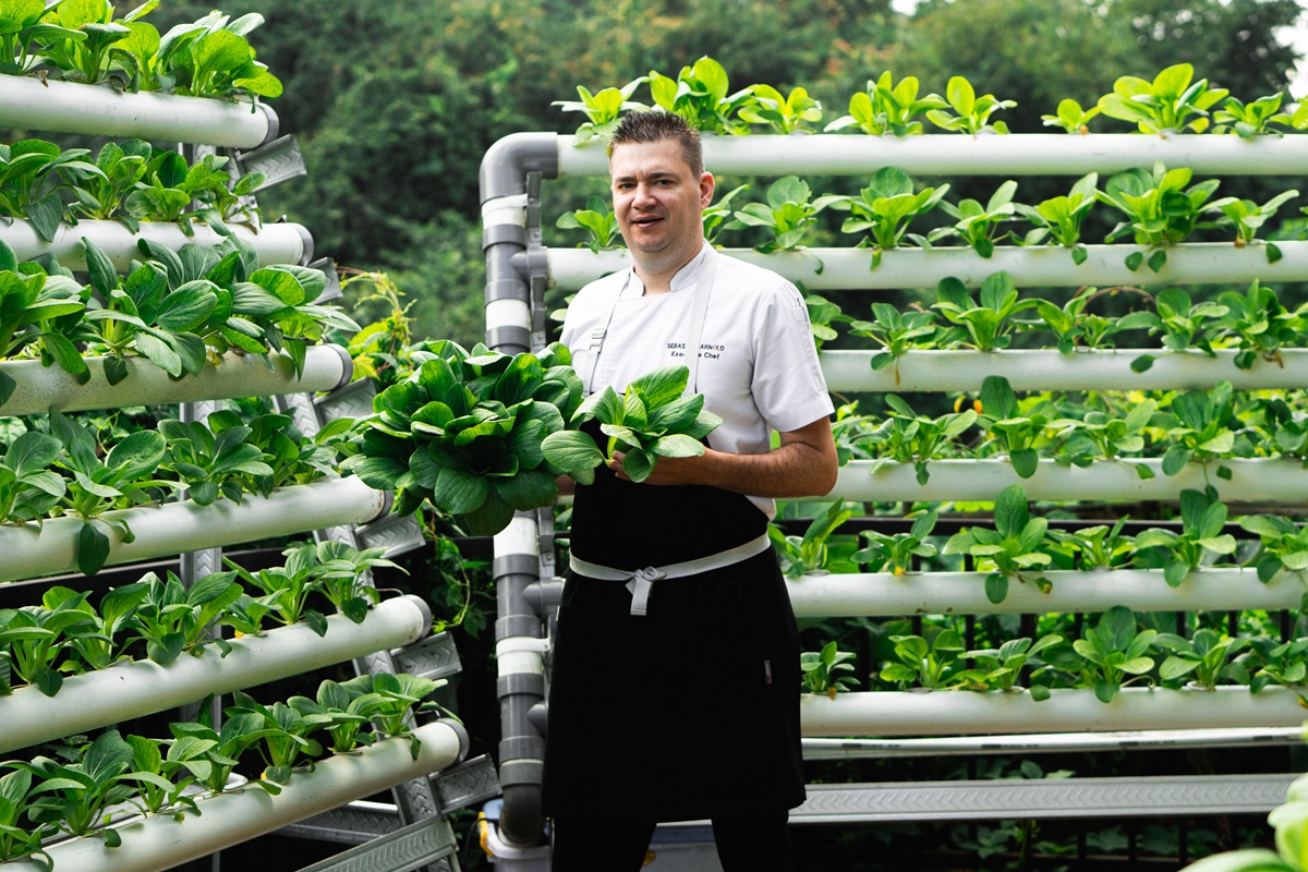 The Westin Resort & Spa Ubud Bali Unveils “Hydro Haven” : Fresh Dining Ubud, Bali