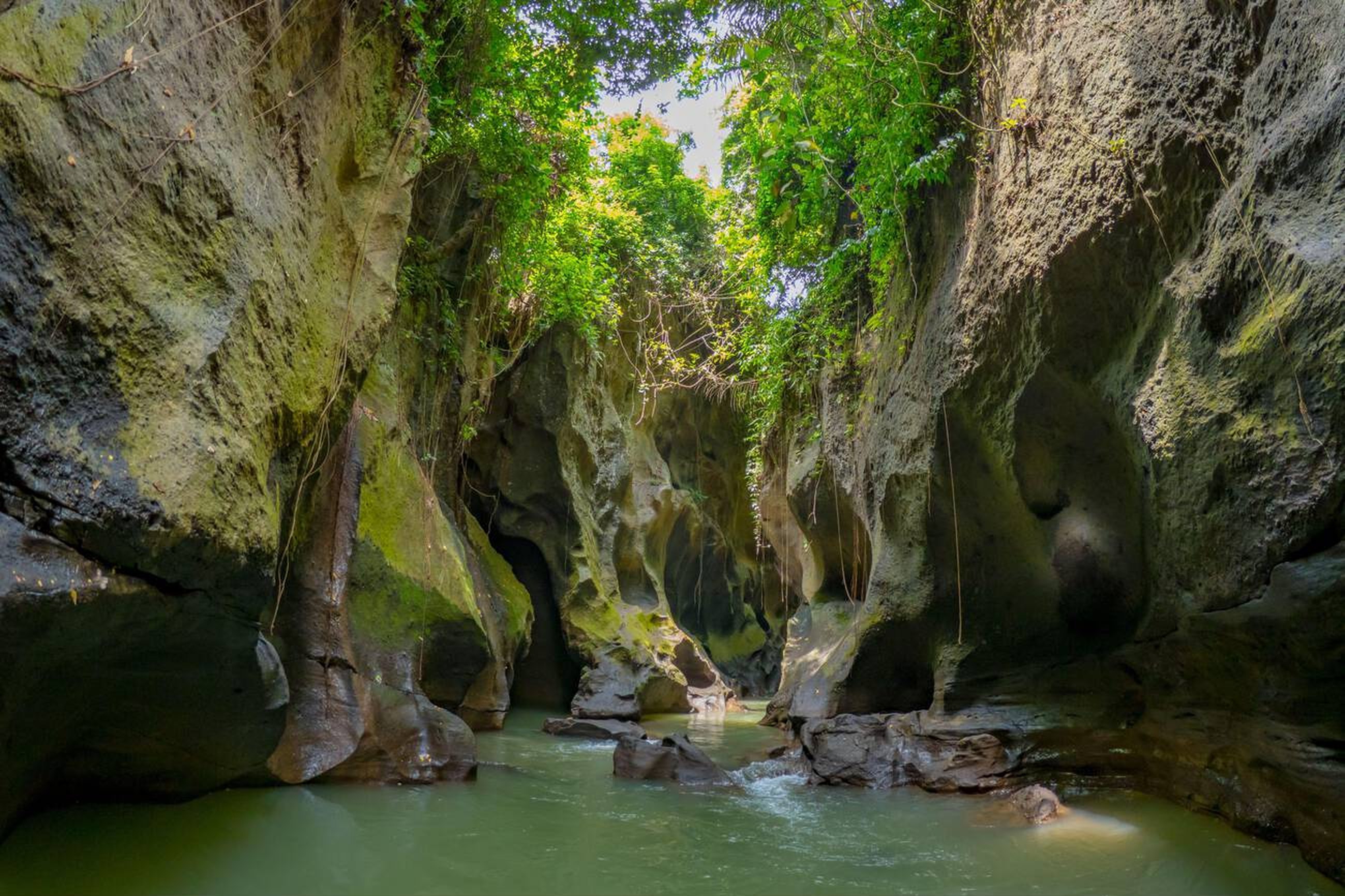 Exploring Hidden Canyon Beji Guwang: Bali’s Secret Natural Wonder