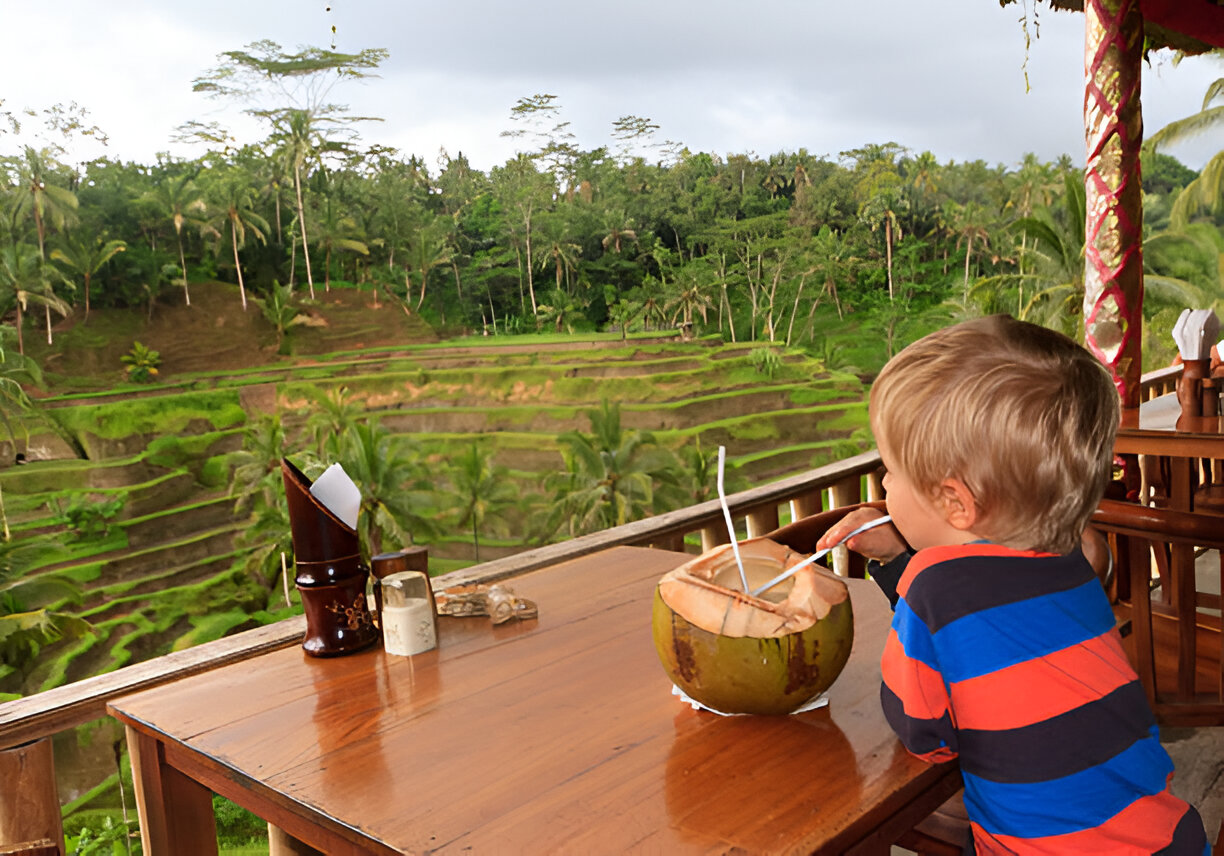 Best Restaurants with Rice Paddy Views in Bali