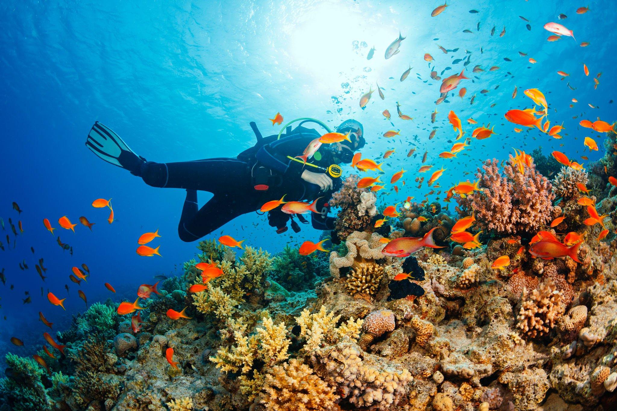 Exploring Bali's Best Scuba Diving Spots