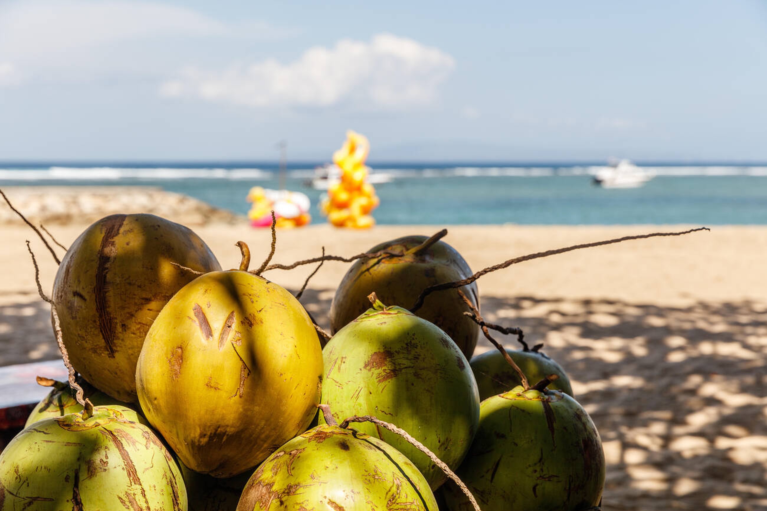 Fruit of Life: The Significance of Coconut in Bali