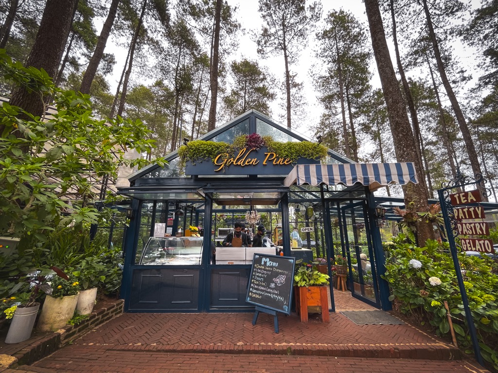 Golden Pine at Orchid Forest Cikole