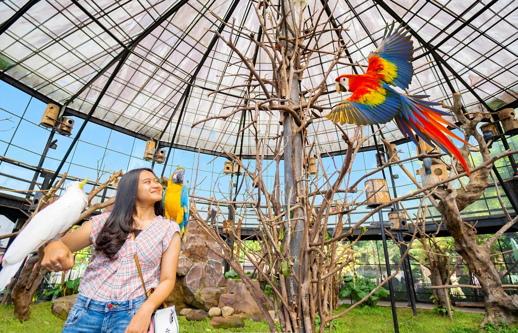 Top Theme Parks & Outdoor Activities in Bandung