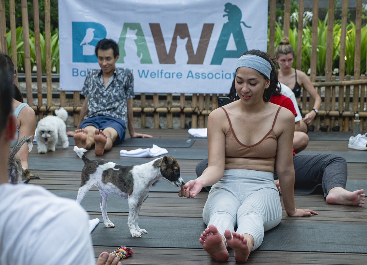 Experience Moodbooster Puppy Yoga at Hotel Indigo Bali Seminyak Beach