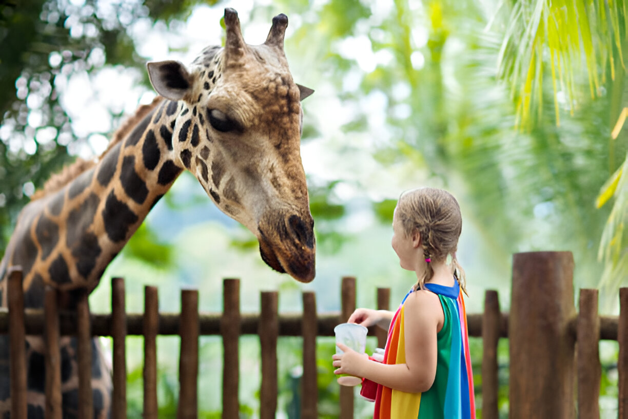 Top Nature Activities for Toddlers in Bali: A Guide to Outdoor Fun