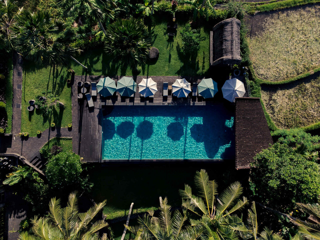 The  Artini Dijiwa Ubud