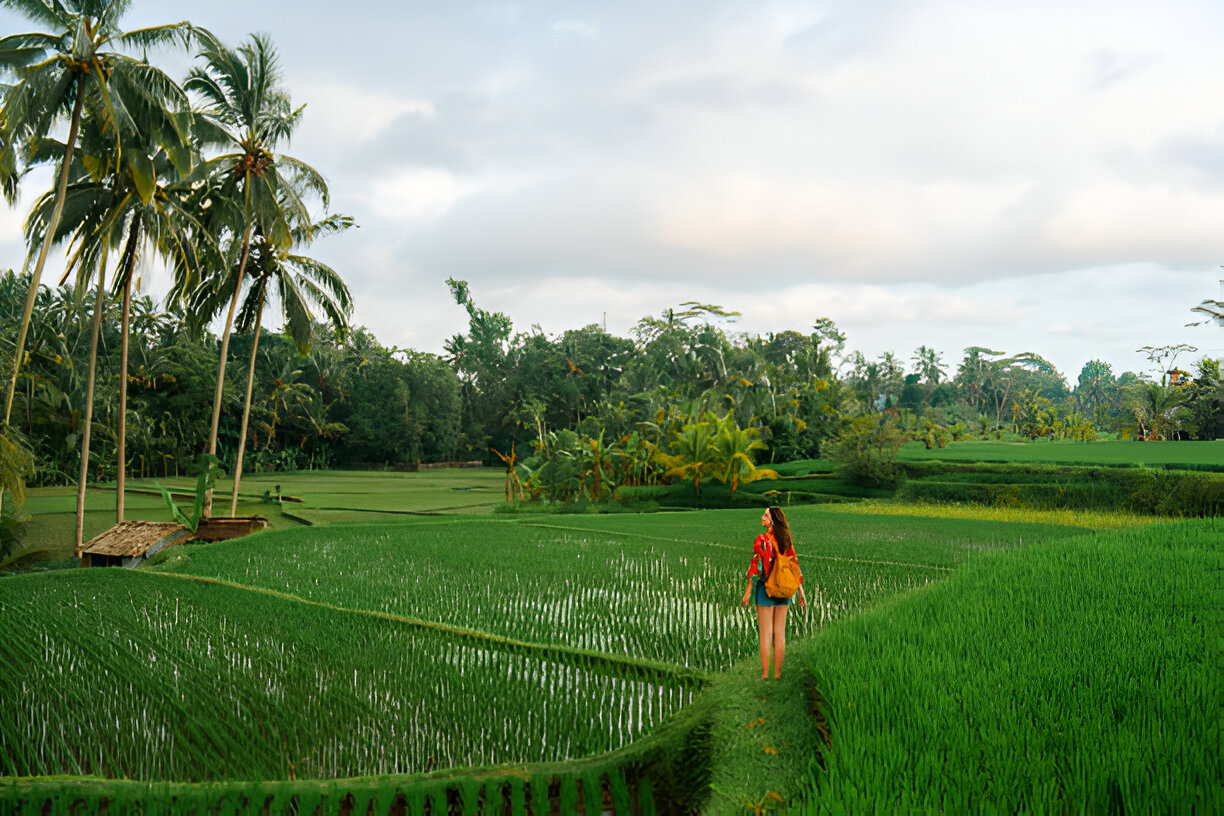 9 Reasons Why You Must Try Exploring Ubud on Foot