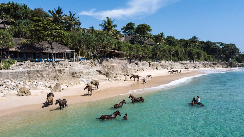 10 Reasons to Visit Sumba: Unveiling Indonesia's Hidden Gem