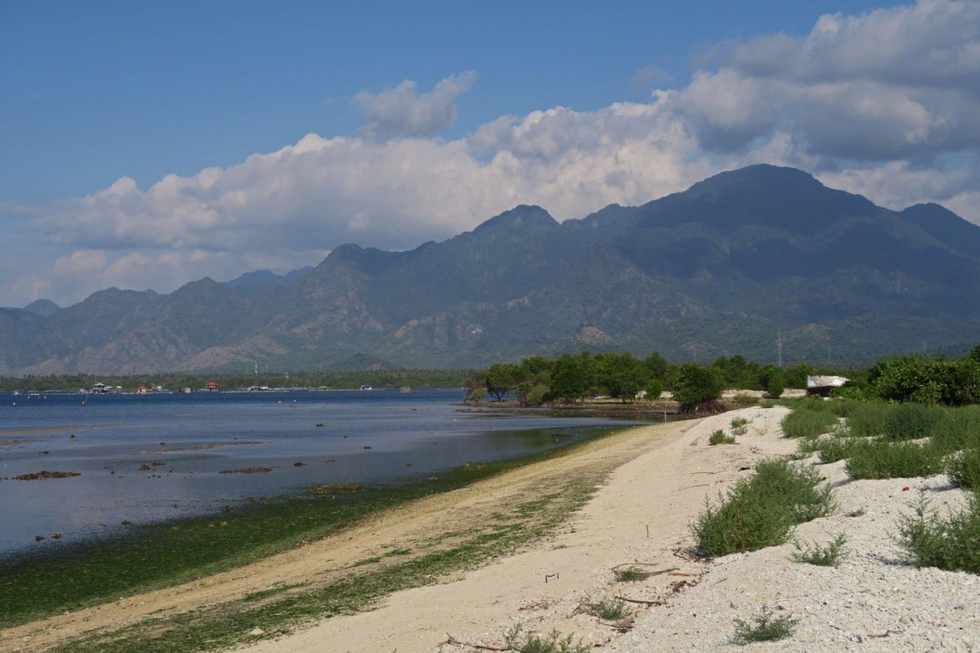 Bali Barat National Park