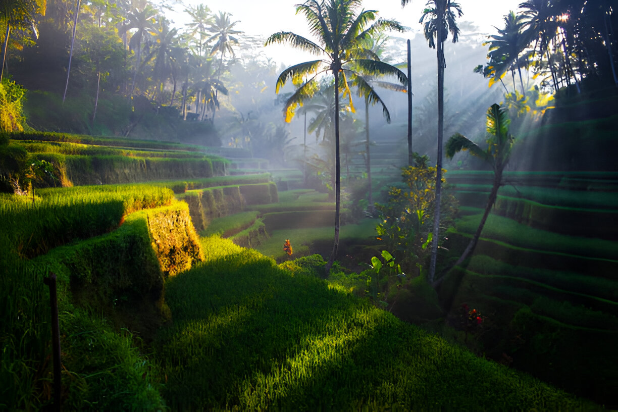 Bali's Verdant Nature Ilustarion