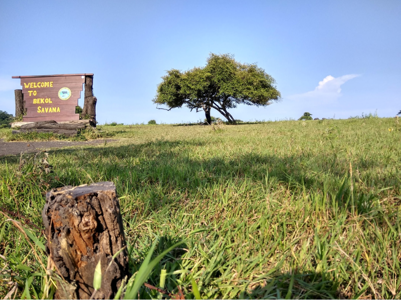 Baluran National Park