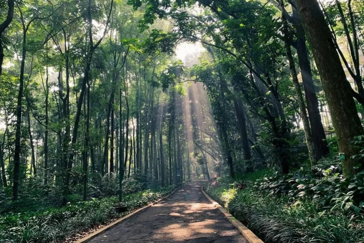 Best Hiking Spots Around Bandung