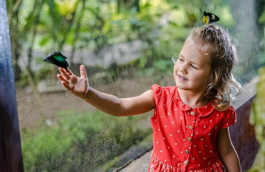 Bali Butterfly Park Best Toddler Nature Activities