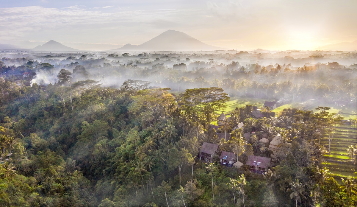 Blue Karma Dijiwa Ubud Stay Experience 8