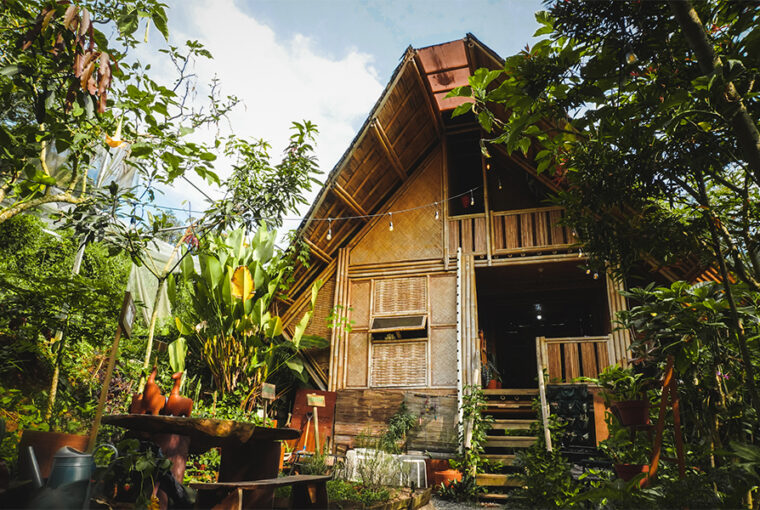 Hidden Farm Plantshop Cafe