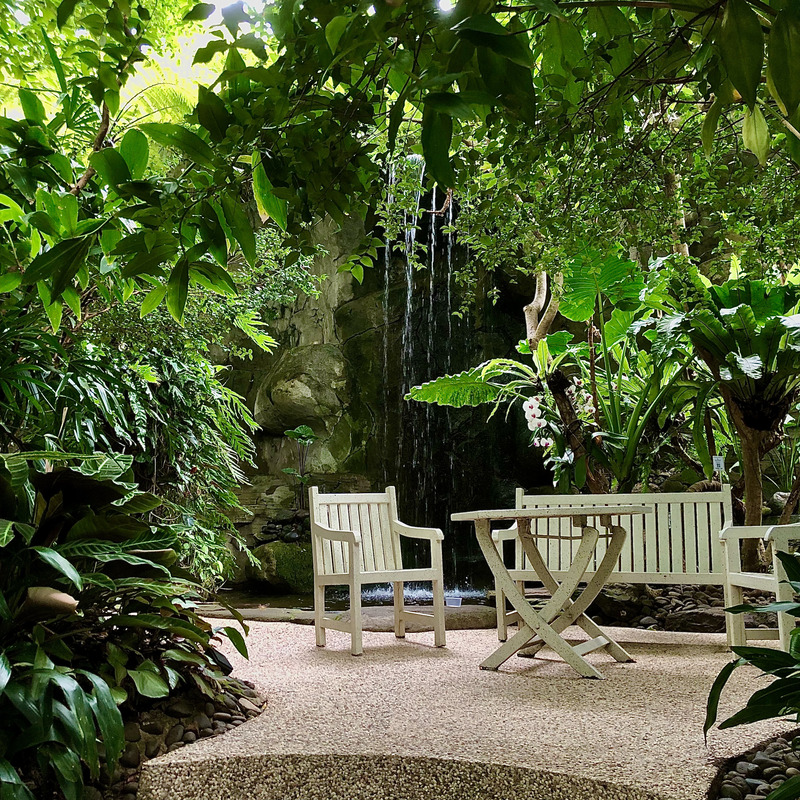 tropical garden