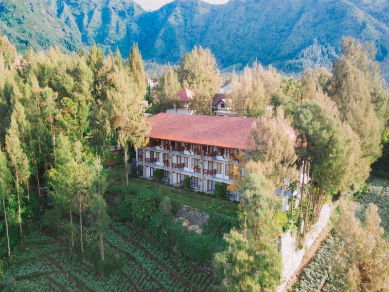 Best Places to Stay Near Bromo: From Cozy Retreats to Luxury Escapes