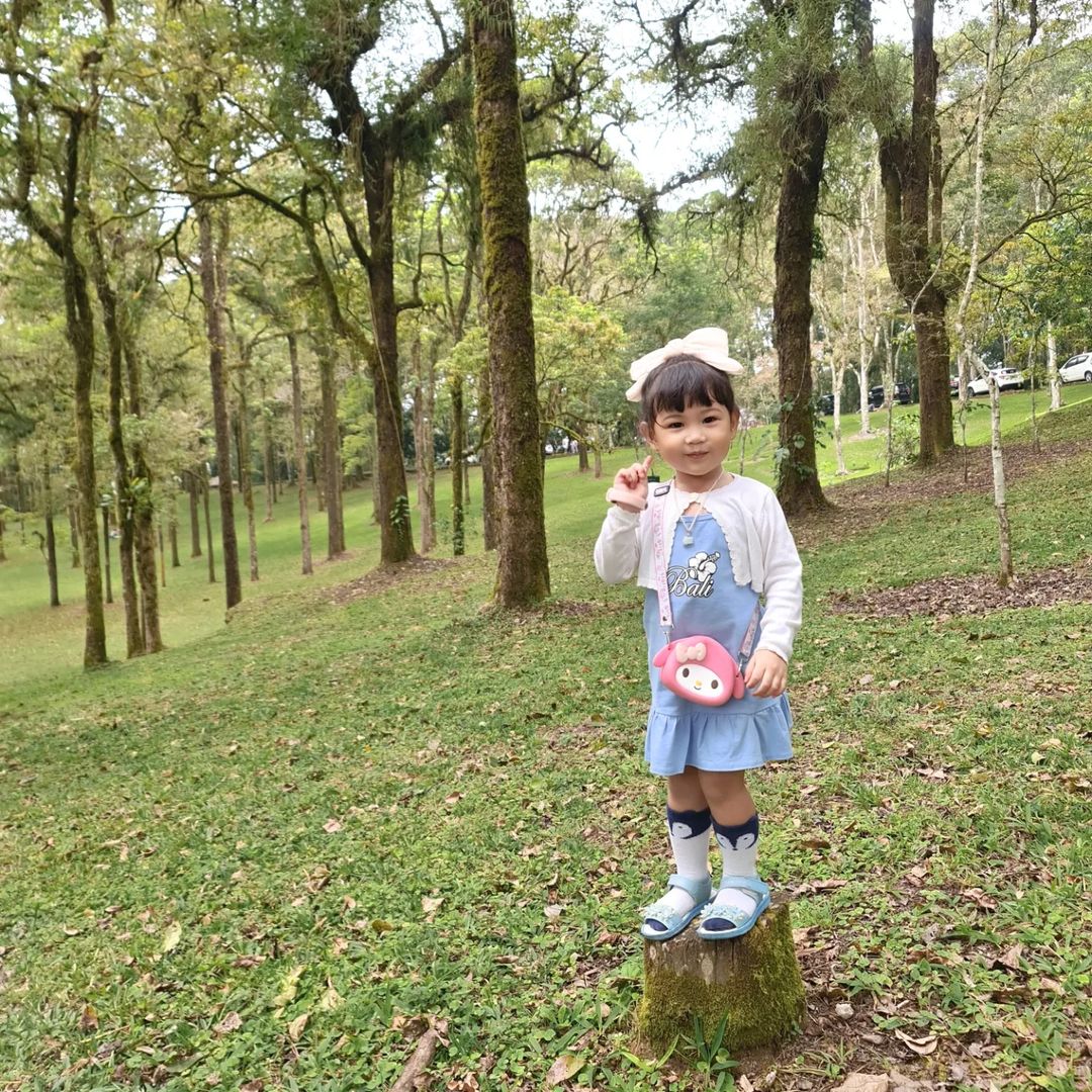 Kebun Raya Bedugul Best Nature Toddler Activities Bali