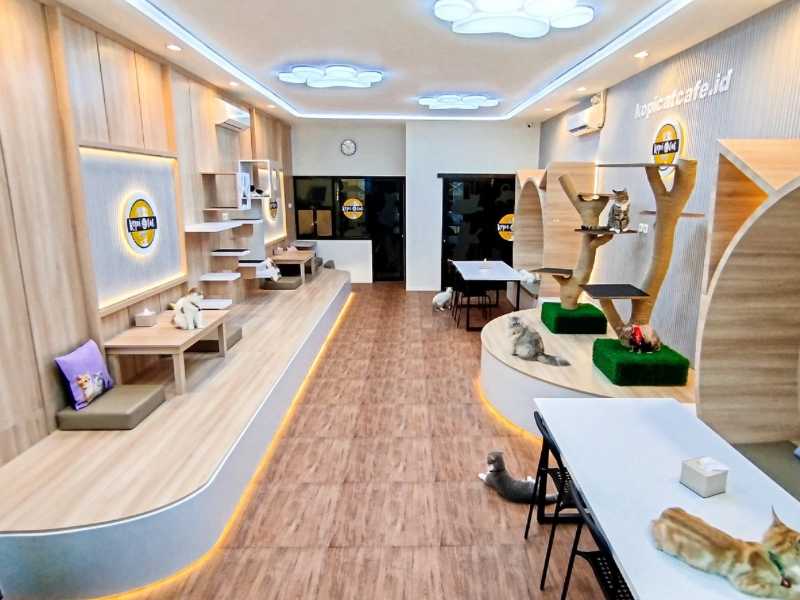 Kopi Cat Cafe by Groovy