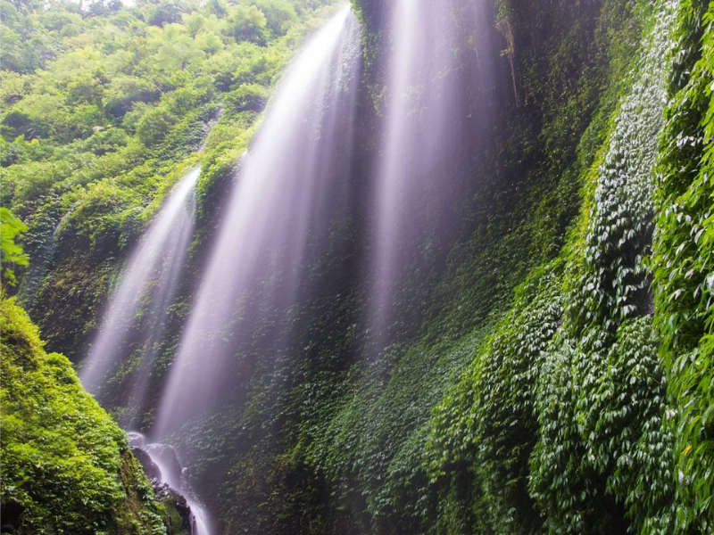 Madakaripura Waterfall