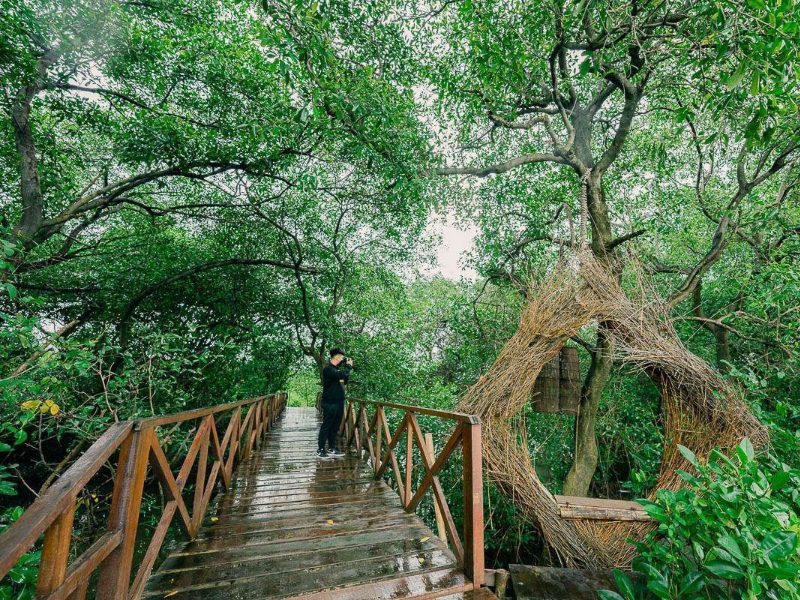 Mangrove Gunung Anyar