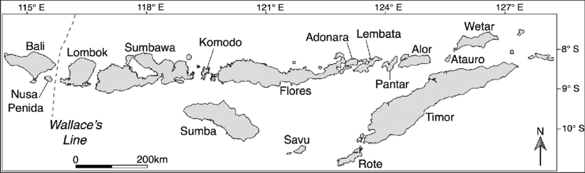 The Lesser Sunda Islands