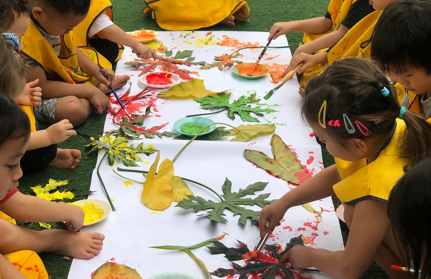 New Zealand School Summer Camp