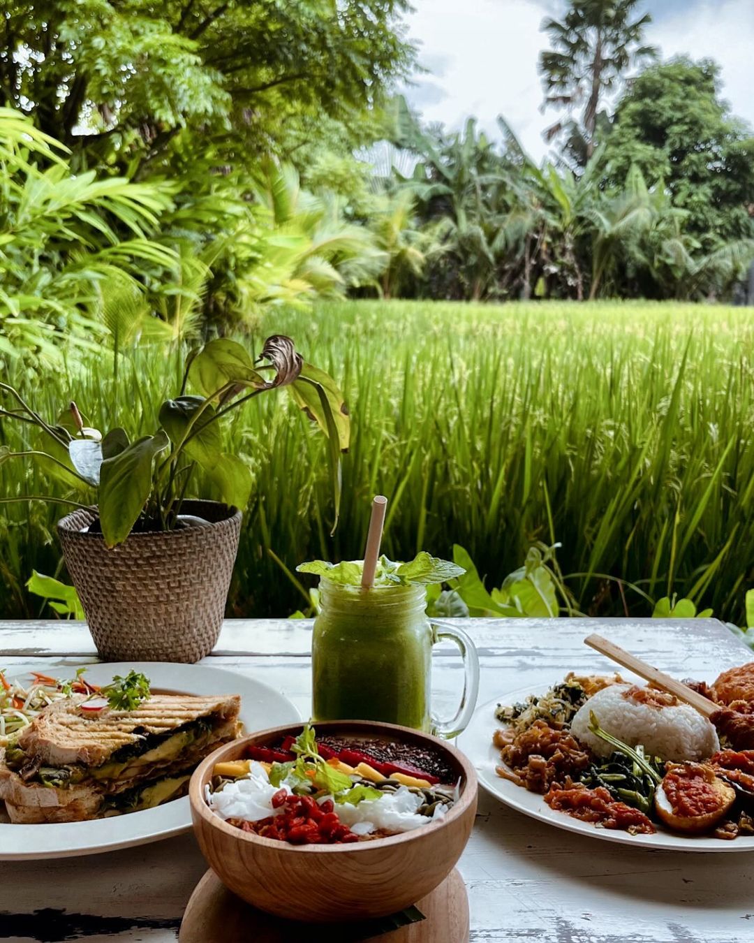 Nook Bali Best Restaurant with Paddy Field View Bali