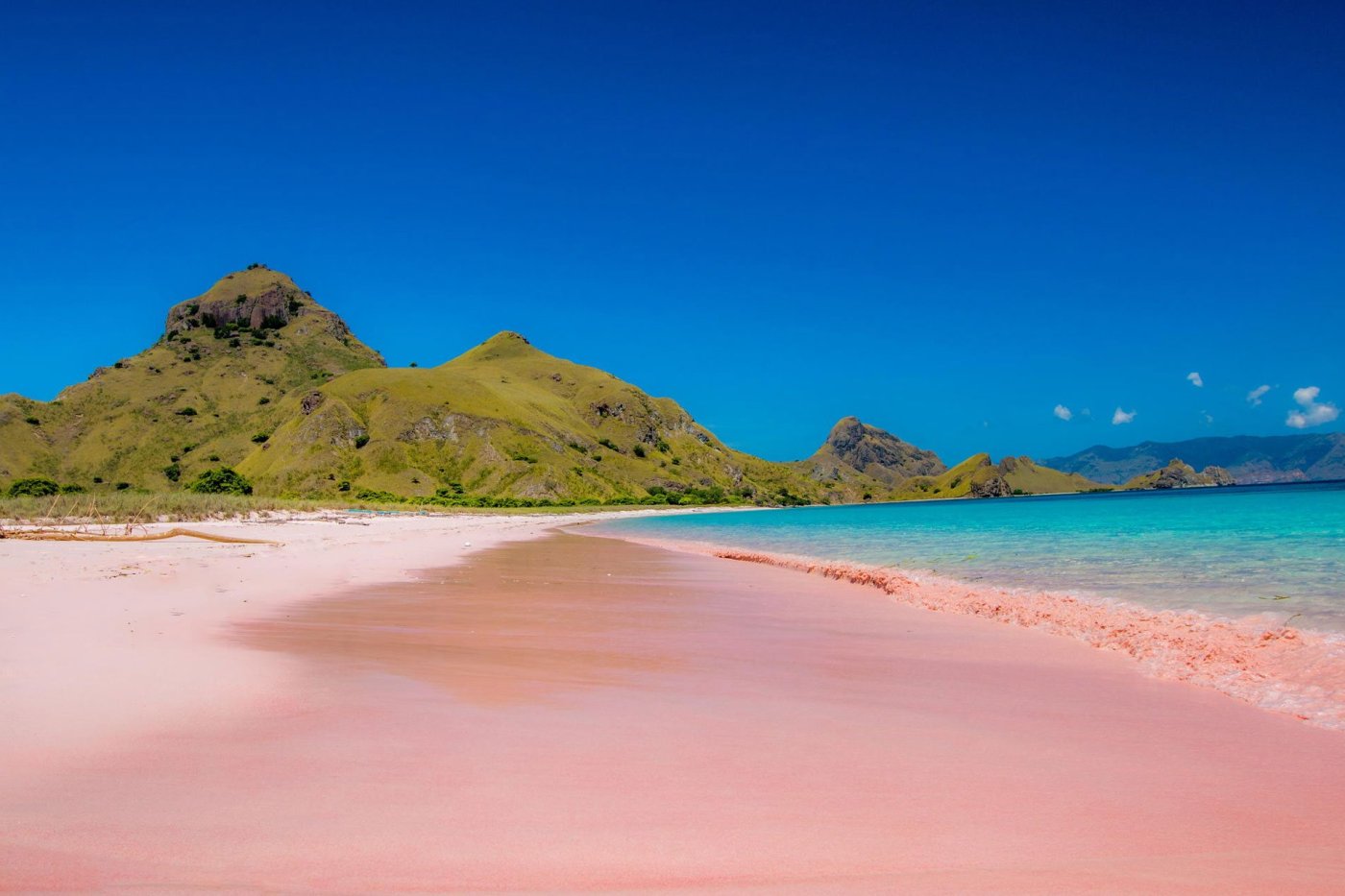 Pink Beach, Komodo Island