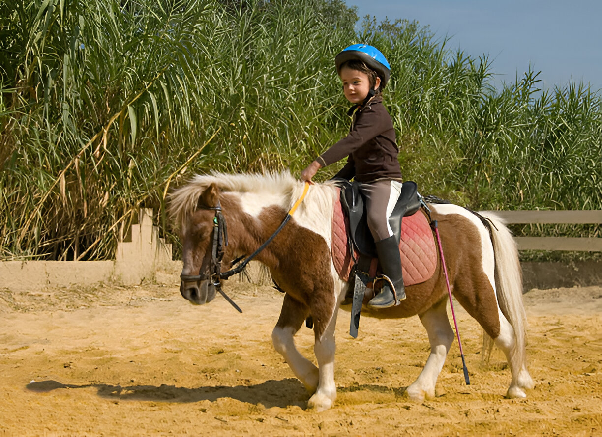 Pony Ride Bali Best Afterschool Activities 