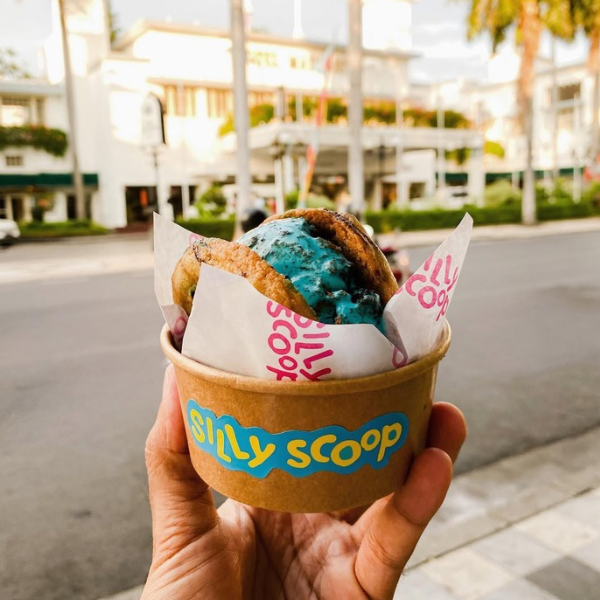 Silly Scoop Ice Cream