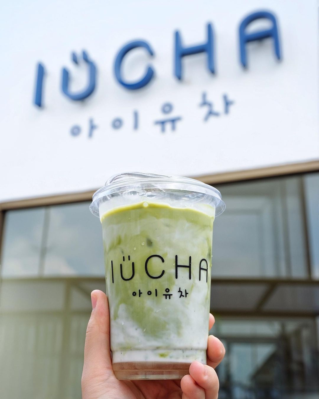 IuCHA