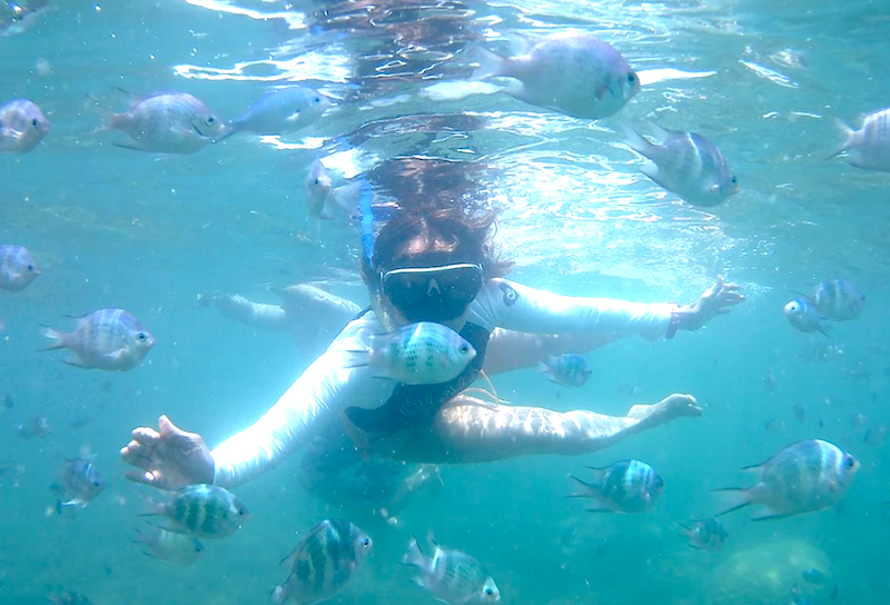 Snorkeling and Diving