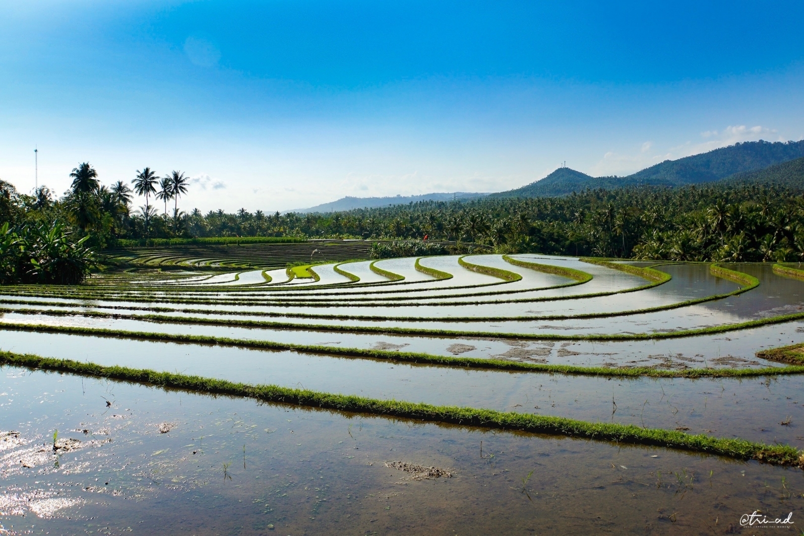 Subak UNESCO