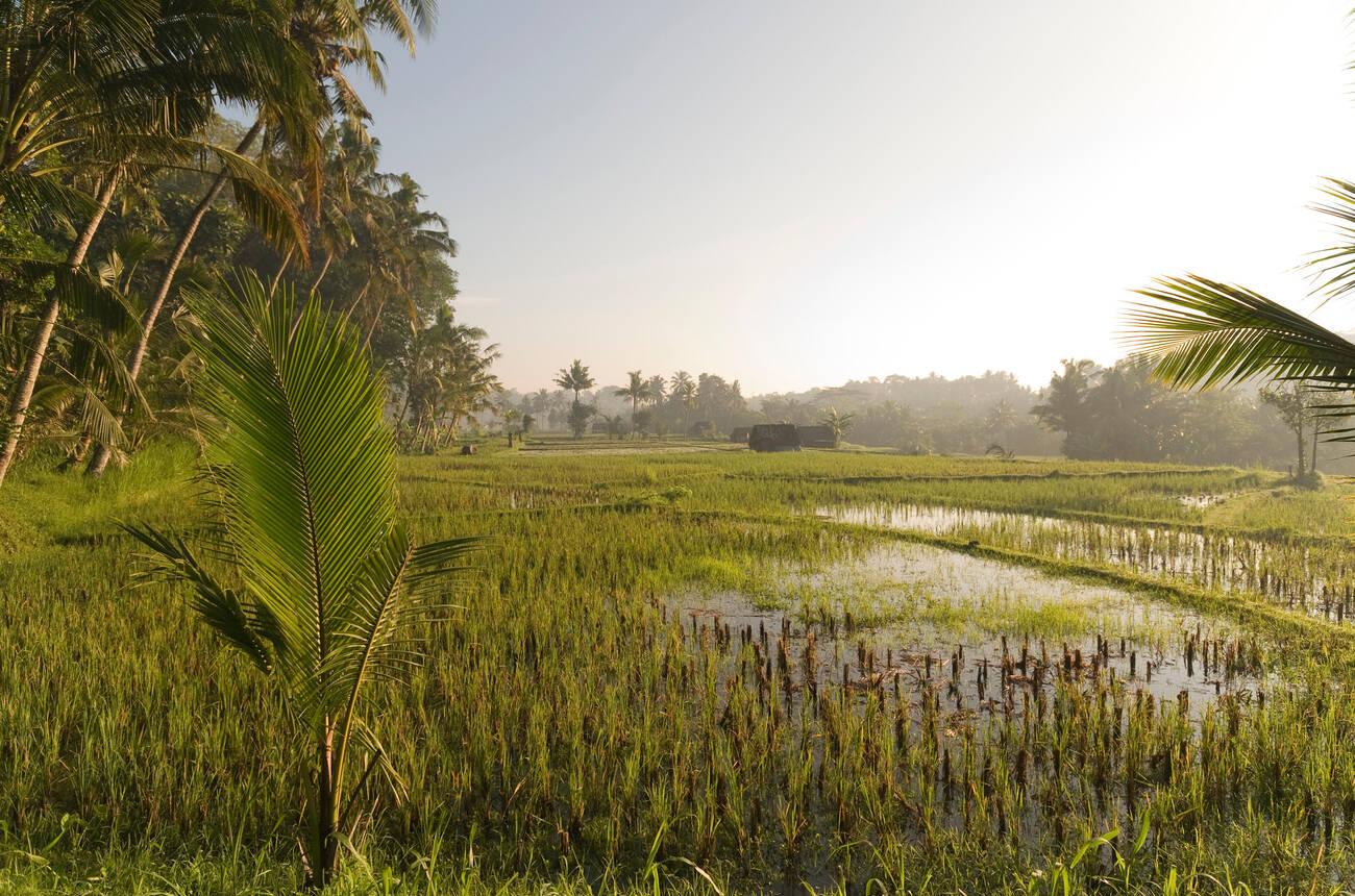 Tabanan Best Area to Live Bali