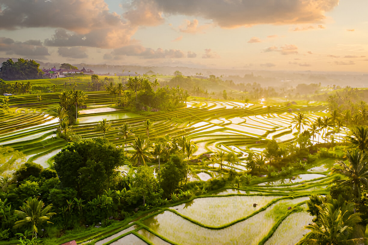 Jatiluwih Rice Terrace 1