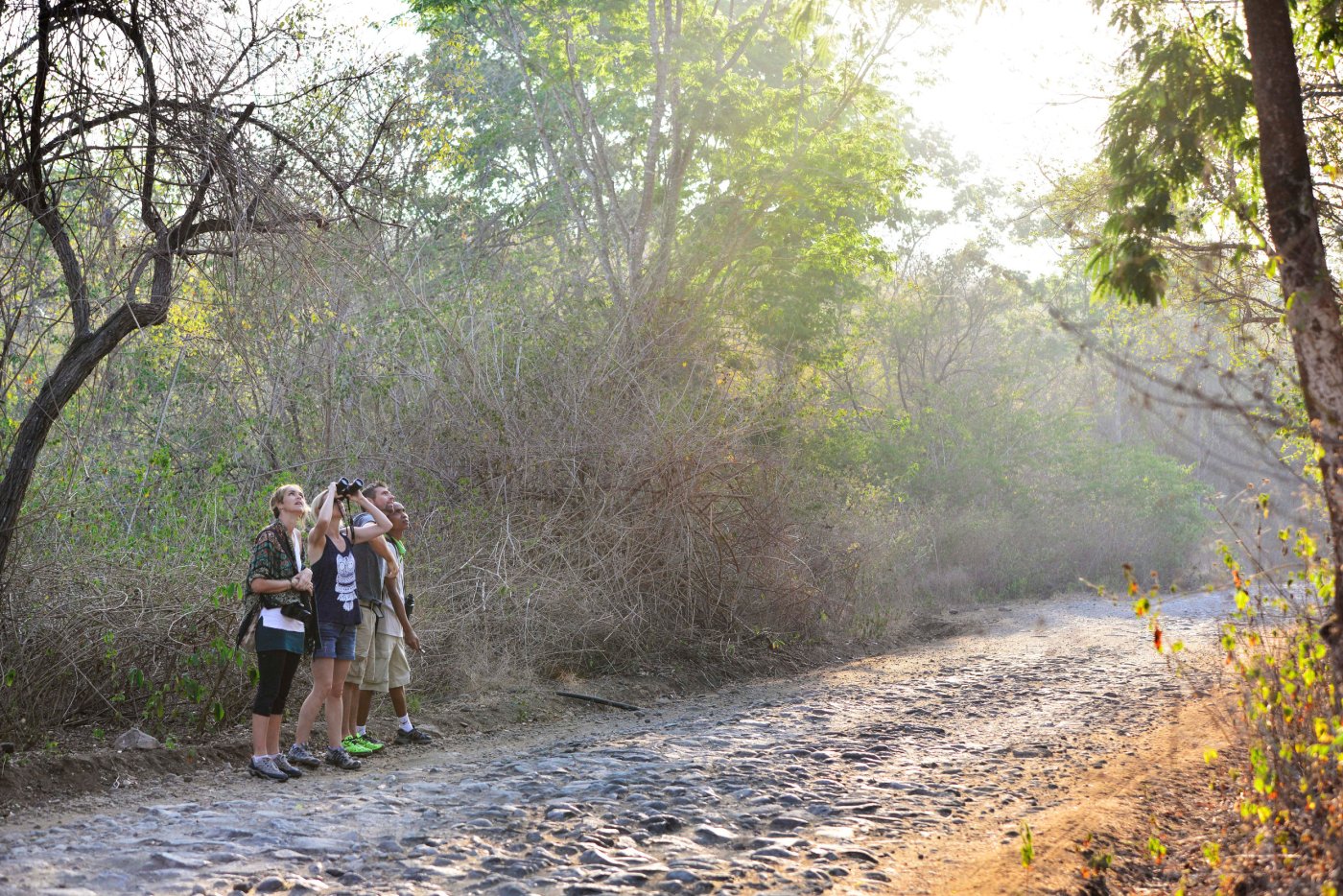 West Bali National Park