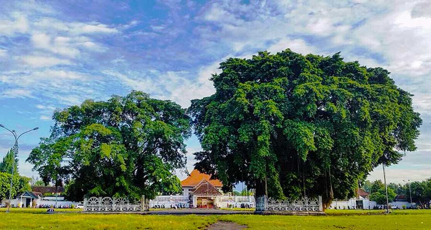 alun_alun_kidul_jogja'