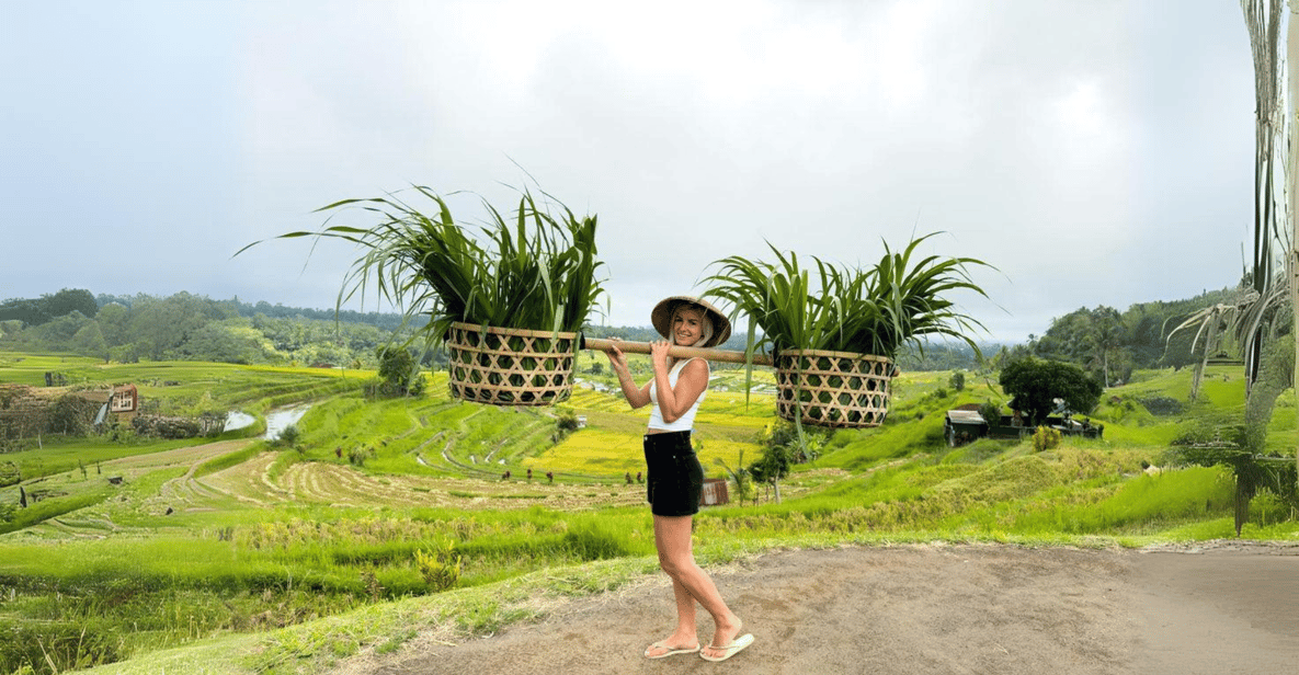 Jatiluwih Rice Terrace 2