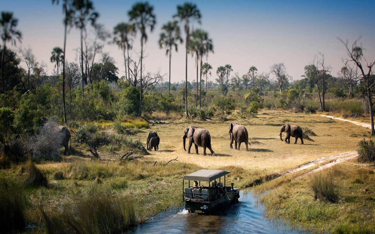 Luxurious African Safaris