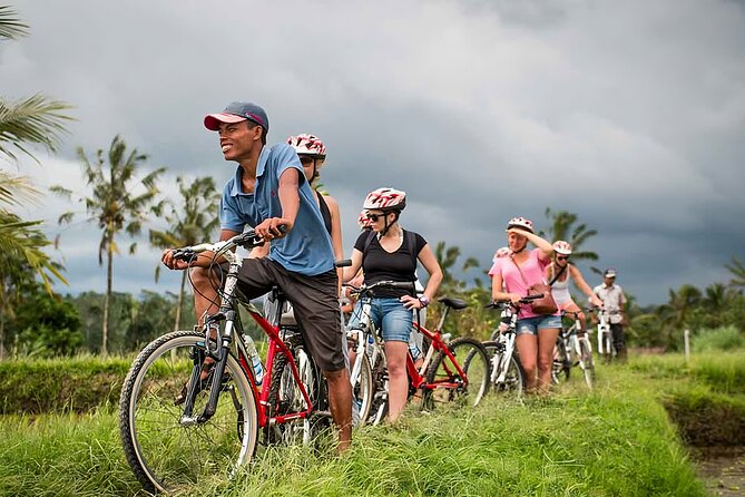 Cycling in Nature