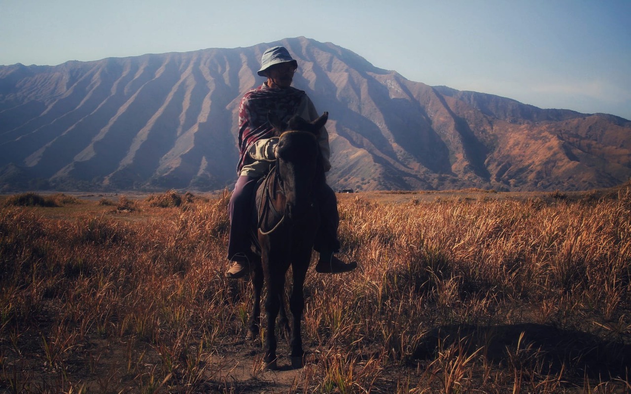 Bromo To Do: Teletubbies Hill Savannah