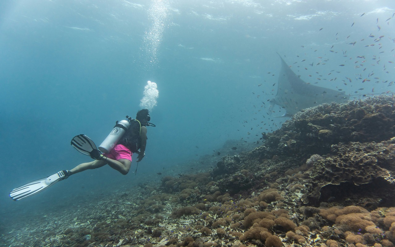 Why Explore Flores Island