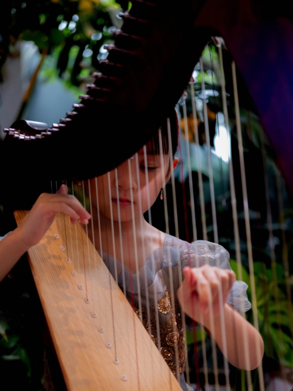 Local Harp Music School