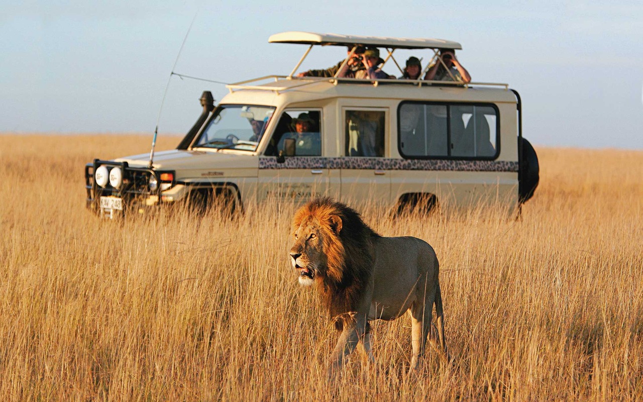 Luxurious African Safaris