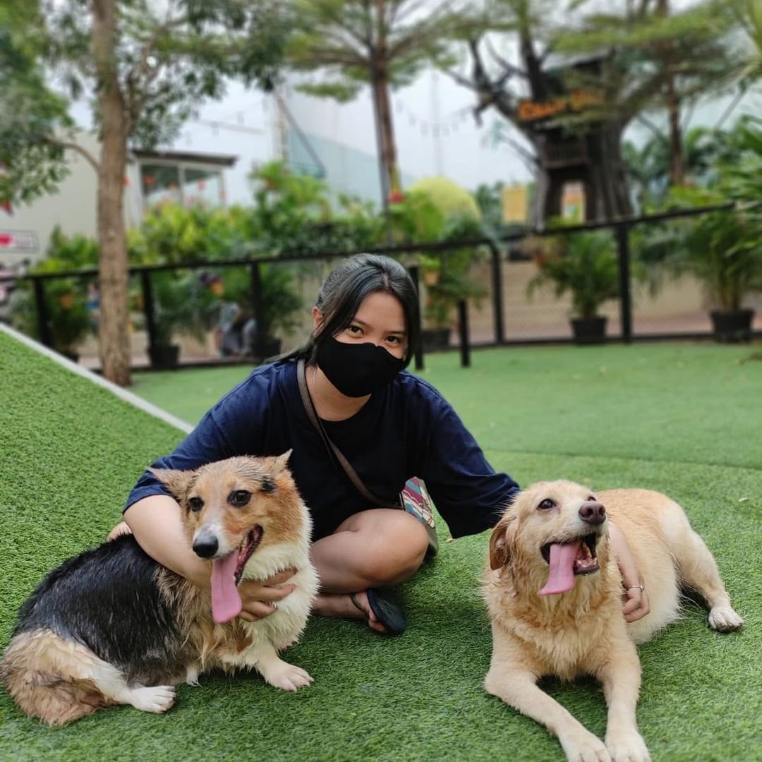 Gading Walk Pet Friendly