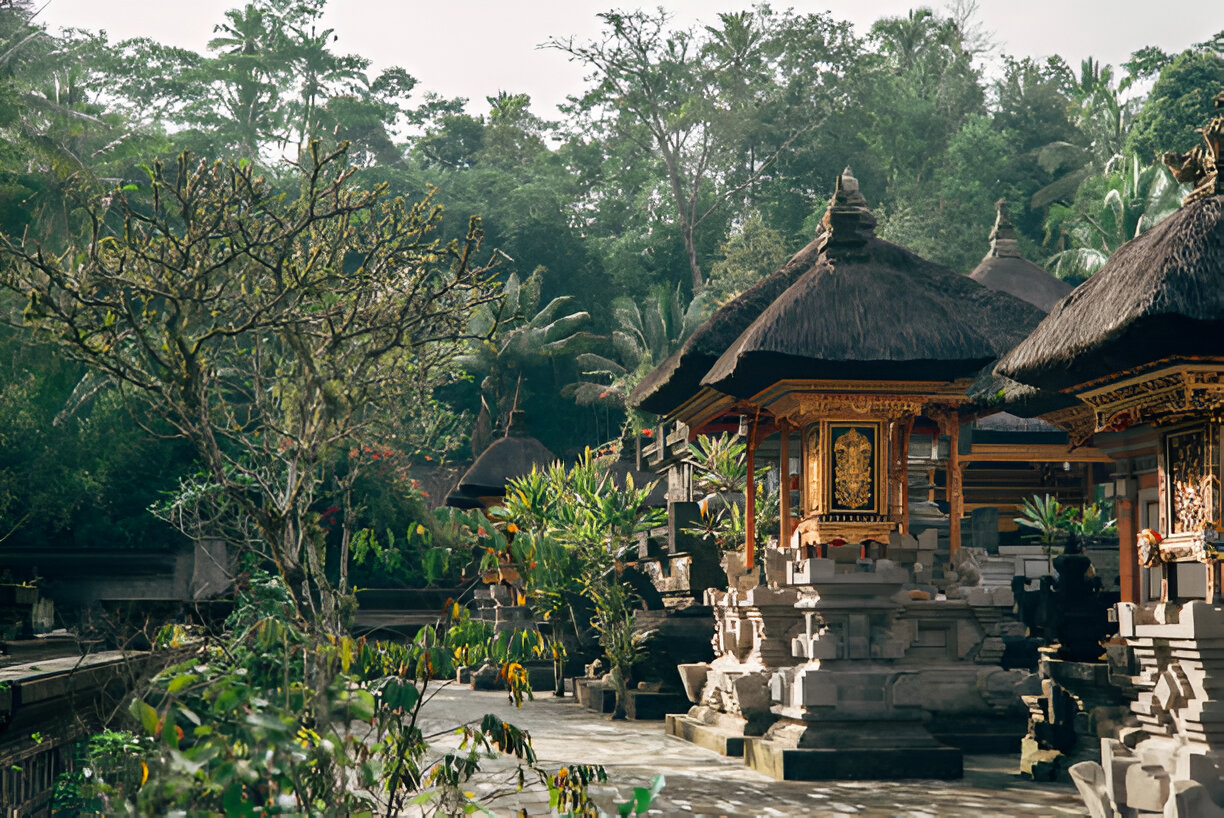 Why You Should Explore Ubud on Foot 2