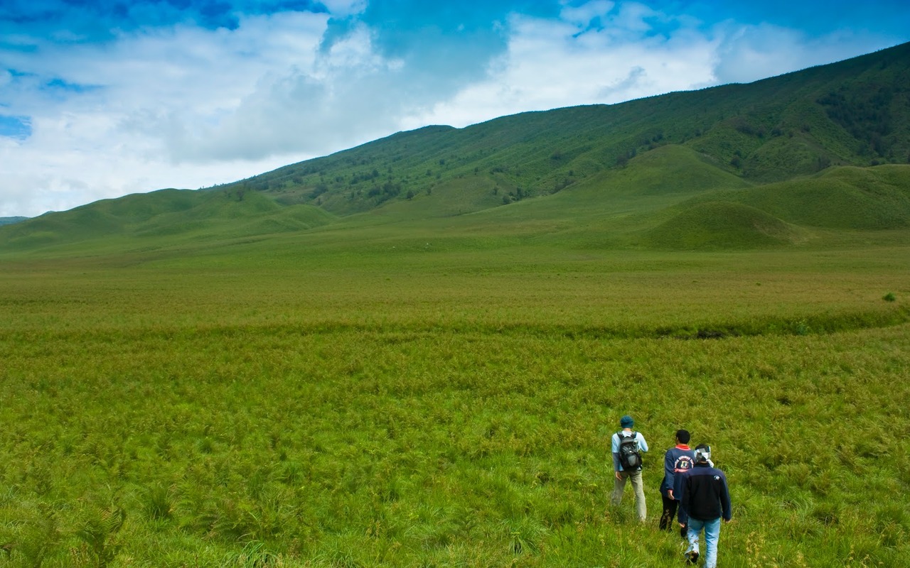 Bromo To Do: Teletubbies Hill Savannah