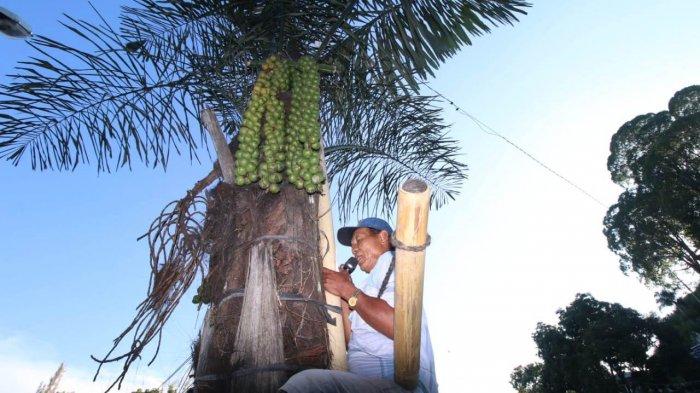 Traditional Indonesian Alcohol Beverages