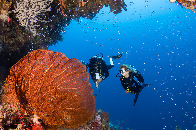 Best Diving Spots in Indonesia